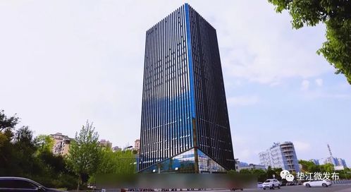 垫江 扬帆启航高新路，数字技术服务赋能县域发展新篇章